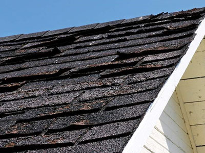 Shawn Sullivan Roofing Images