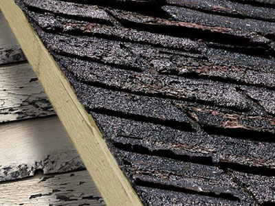 Shawn Sullivan Roofing Images