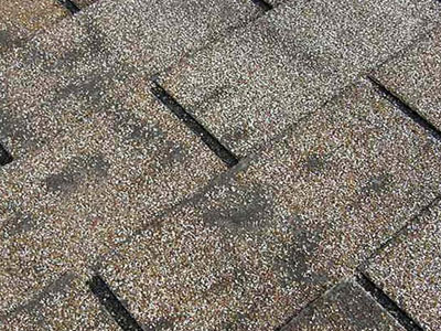 Shawn Sullivan Roofing Images